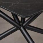 Detaliu generat al blatului negru venat și nodului tubular radial