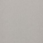 Placă PVC decorativă gri argintiu 1,22 x 2,8 m - produs Dexin Construct