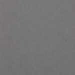 Placă PVC decorativă bej lăptos 1,22 x 2,8 m - produs Dexin Construct