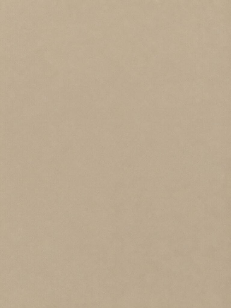 Placă PVC decorativă platină 1,22 x 2,8 m - produs Dexin Construct